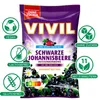 VIVIL® 2361 VIVIL® Schwarze Johannisbeere ohne Zucker Anteprima dell’immagine prodotto 2