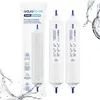 AquaFloow Lot de 2 filtres à eau CoolQuench – Filtre Voir les images du produit 1