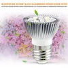 A close-up of a plant grow light with a blurred background of succulents and falling leaves. Produktbild-Vorschau