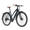 2025 700W E Bike für Erwachsene 700 * 42C [ Offiziell ] Produktbild-Vorschau 2