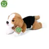 Plüsch-Beagle, 28 cm, umweltfreundlich Produktbild-Vorschau 6