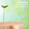 Douglasien Öl 10l farblos I Holz-Öl für innen & außen I Produktbild-Vorschau 3