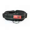 Halsband mit integrierter Kurzleine Sport L 49-59 cm Produktbild-Vorschau 4