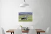 MuchoWow® Poster Pferde - Fohlen - Braun 90x60 cm - Produktbild-Vorschau 2