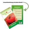 Fleischtomaten Marmande Samen - Solanum lycopersicum - Produktbild-Vorschau 3