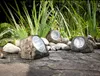 GLOBO 3302-3, Kunststoff, IP44, LED, 0,06 W, 3.2 V, 1 Produktbild-Vorschau 11