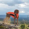 Back on Track Eddie Petite Hundepullover reflektierend Produktbild-Vorschau 6
