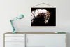 MuchoWow® Textilposter Pferd - Halfter - Flecken 60x45 cm Produktbild-Vorschau 3