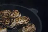 AMT GASTROGUSS poêle à frire, adapté à l'induction, hauteur Voir les images du produit 3