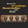 A wooden plank with four sheep-shaped coat hooks mounted on it, with German text above. Produktbild-Vorschau