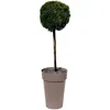 Pot/vase haut Ø 46 x 65 cm - 67 L - Taupe Voir les images du produit 2