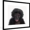 MuchoWow® Gerahmtes Poster Affe - Schimpanse - Porträt - Produktbild-Vorschau 1