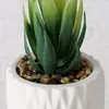 Boltze Home Pianta artificiale a foglia grassa in vaso Anteprima dell’immagine prodotto 2
