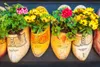 Original holländische Holzschuhe: Der Traditionelle (Gr. Produktbild-Vorschau 5