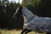 Kerbl Vliegendeken zebra inclusief nekdeel 195 cm Productafbeelding-voorbeeld 4
