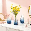 LARS360 16 pièces petits vases de table en verre, mini set Voir les images du produit 8