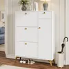 Armoire à chaussures avec 3 portes, 1 tiroir et 1 porte, Voir les images du produit 6