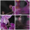 Bild auf Leinwand - Leinwandbild - Asien exotisch orchidee Produktbild-Vorschau 8