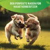 Greenyp® Sport I Gazon de sport et de jeu résistant I 10kg Voir les images du produit 7