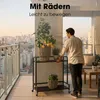 Étagère à plantes sur roulettes Mica Decorations Greenrax - Voir les images du produit 5