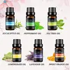 Ätherische Öle Set, 6 x 10 ml Aromatherapie Duftöl 100% Produktbild-Vorschau 3