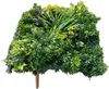 GeckoWall "RIO" | Premium Dschungel Farn Pflanzenwand | Produktbild-Vorschau 3