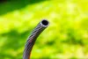 NEO TOOLS Tubo da giardino 1/2" x 50 m, 6 strati NEO Anteprima dell’immagine prodotto 8