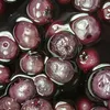 Steinhaus Heidelbeeren feine Früchte gezuckert in der Dose Produktbild-Vorschau 6