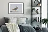 MuchoWow® Gerahmtes Poster Vogel - Tiere - Sand - Kiebitz Produktbild-Vorschau 2