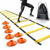 Sada pro koordinaci agility - tréninkový žebřík a Náhled obrázku produktu 1