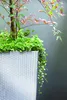 Blumentopf + Einsatz Blumenkübel Rattan RATO SQUARE DRTS170 Produktbild-Vorschau 12