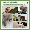 A collage of images showing cats interacting with household items and a Christmas tree, with text overlay. Produktbild-Vorschau