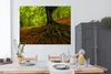 MuchoWow® Poster Baum - Wald - Herbstblätter 160x120 cm - Produktbild-Vorschau 3