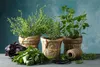 Biovita Erde, -Substrat Für Kräuter, Natural 10L Produktbild-Vorschau 19