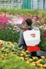 SOLO 441 Akku - Spritze Rückenspritze Drucksprühgerät 16 L Produktbild-Vorschau 2