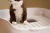 Makesure Katzentoilette TOP, Extragroß mit Streuschaufe Produktbild-Vorschau 5