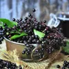 Sambuco Black Lace 2L Anteprima dell’immagine prodotto 2