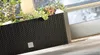 Prosperplast Blumentopf | Rato Case | Schwarz | 60 cm Produktbild-Vorschau 10