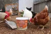 IdaPlus Mineral Grit Mix 5kg Produktbild-Vorschau 3