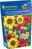 Kunterbunt Gemixt (100 g) | Blumenwiese von Kiepenkerl [MHD Produktbild-Vorschau 3