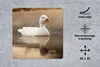 MuchoWow® Mauspad Mousepad Ente - Vogel - Wasser - Weiß Produktbild-Vorschau 2