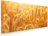 Glasbild 60x30cm in XXL für Wohnzimmer, Schlafzimmer Motiv Produktbild-Vorschau 1