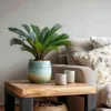 A potted plant sits on a wooden table next to a sofa with decorative pillows. Podgląd zdjęcia produktu