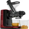 KitchenBrothers Slow Juicer - Entsafter - Obst- und Produktbild-Vorschau 1