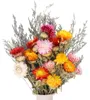 Bouquet de fleurs séchées : camomille et immortelle Voir les images du produit 1
