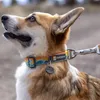 Ruffwear Hundehalsband Crag™ Collar Rising Wave Produktbild-Vorschau 3