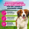 Eukanuba Hundefutter, Lamm & Reis für kl. & mittelgroße Produktbild-Vorschau 5