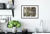 MuchoWow® MuchoWow® Gerahmtes Poster Decke mit barocker Produktbild-Vorschau 4