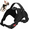 A French Bulldog wearing a black dog harness with a leash attached, shown next to a close-up of the harness. Produktbild-Vorschau