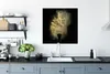 MuchoWow® Poster Goldpulver auf schwarzem Hintergrund 75x75 Produktbild-Vorschau 3
